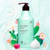 Jeju Prickly Pear Hair Shampoo