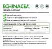 Echinacea 500 мг 60 капсул