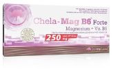 Chela-Mag B6 Forte