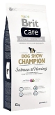 Care Dog Show Champion 132742
