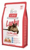 Care Cat Lucky Vital Adult 132604