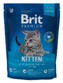 Premium Cat Kitten 513031