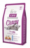 Care Cat Crazy Kitten 171224