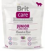 Junior Large Breed Lamb & Rice