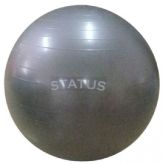 Мяч гимнастический ПВХ с насосом FKA-22