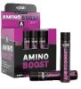 Amino Boost